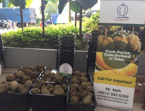 AADurian Malaysia – The Corporate Durian Party Specialist. Our AADurian Malaysia Happy Customers ranging from MNC, Listed Company, Bank, Insurance, Conglomerate and etc